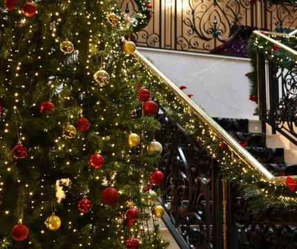 Gallery - Christmas Image 4