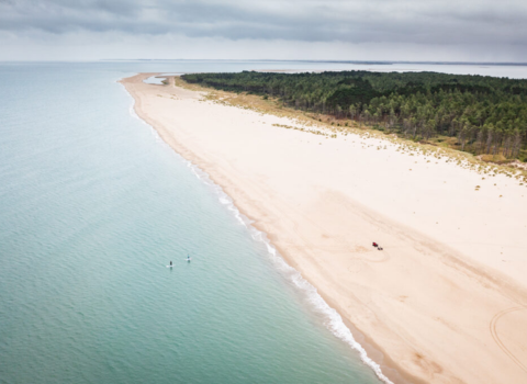 Featured boxes landing page www.ashdownparkhotel.com