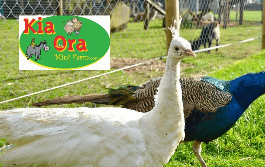 Kia Ora Farm